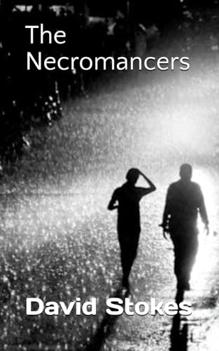 The Necromancers von Independently published