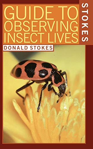 Stokes Guide to Observing Insect Lives von LITTLE, BROWN
