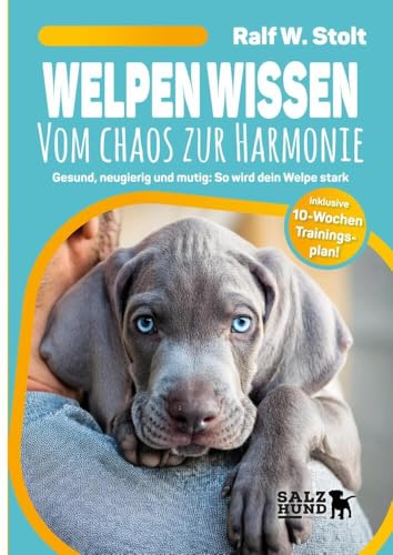 Welpen Wissen - Vom Chaos zur Harmonie: Gesund, neugierig und munter: So wird dein Welpe stark - inkl. 10-Wochen-Trainingsplan (HundeWissen: Praxisorientierte Ratgeber für ein erfülltes Hundeleben) von SalzHund Medien
