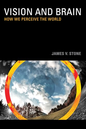 Vision and Brain: How We Perceive the World (Mit Press) von MIT Press