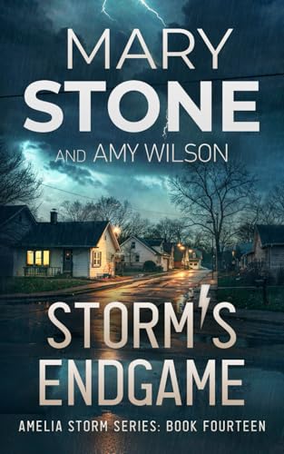 Storm's Endgame (Amelia Storm FBI Mystery Series, Band 14) von Independently published