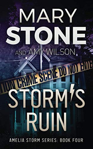Storm's Ruin (Amelia Storm FBI Mystery Series, Band 4)