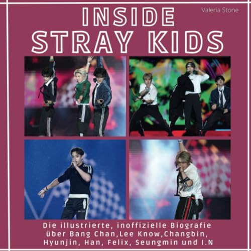Inside Stray Kids: Die illustrierte, inoffizielle Biografie über Bang Chan, Lee Know, Changbin, Hyunjin, Han, Felix, Seungmin und I.N von 27 Amigos