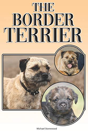 The Border Terrier: A Complete and Comprehensive Owners Guide to: Buying, Owning, Health, Grooming, Training, Obedience, Understanding and Caring for Your Border Terrier von Independently Published