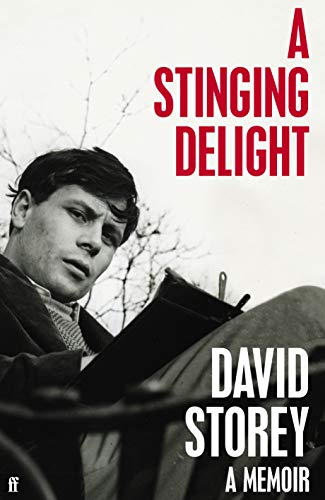 A Stinging Delight: A Memoir von Faber & Faber