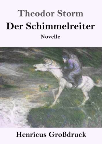 Der Schimmelreiter (Großdruck): Novelle von Henricus