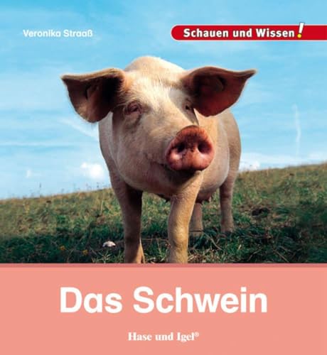 Das Schwein: Schauen und Wissen!