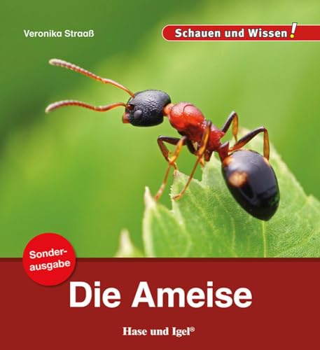 Die Ameise / Sonderausgabe: Schauen und Wissen! (Schauen und Wissen! Heftausgaben)