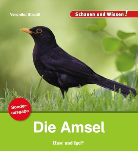 Die Amsel / Sonderausgabe: Schauen und Wissen! (Schauen und Wissen! Heftausgaben) von Hase und Igel Verlag GmbH