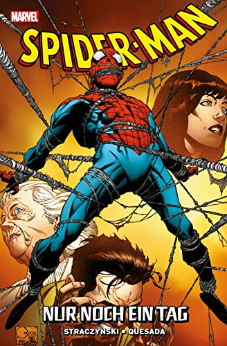 Spider-Man: Nur noch ein Tag Spider-Man: Nur noch ein Tag