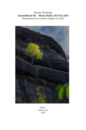 Sammelband III - Meine Haiku 2013-2024: Aktualisierte und erweiterte Ausgabe von epubli