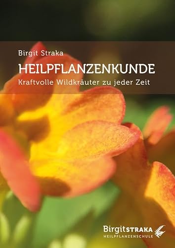 Heilpflanzenkunde: Kraftvolle Wildkräuter zu jeder Zeit