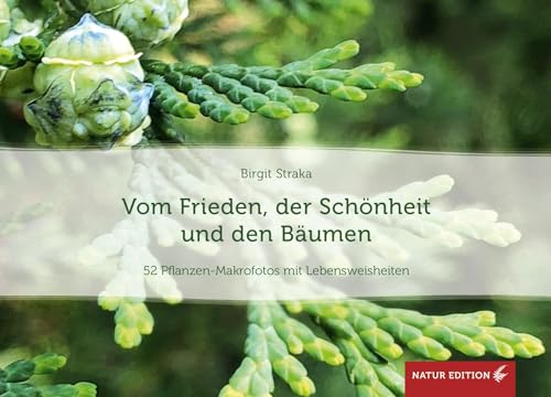 Vom Frieden, der Schönheit und den Bäumen (Tischaufsteller): 52 Pflanzen-Makrofotos mit Lebensweisheiten von Synergia Verlag