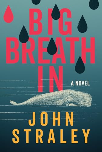 Big Breath In von Soho Press