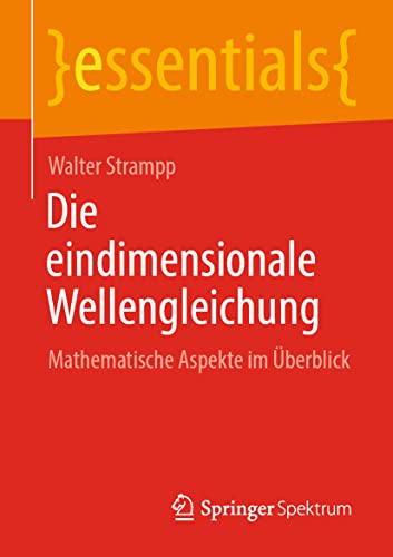 Die eindimensionale Wellengleichung: Mathematische Aspekte im Überblick (essentials) von Springer Spektrum