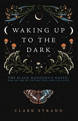 Waking Up to the Dark: The Black Madonna's Gospel for An Age of Extinction and Collapse