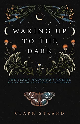 Waking Up to the Dark: The Black Madonna's Gospel for An Age of Extinction and Collapse von Monkfish Book Publishing