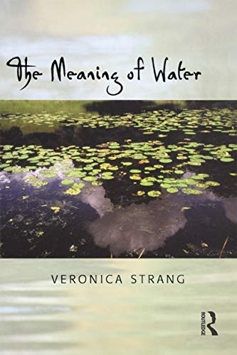 The Meaning of Water von Routledge