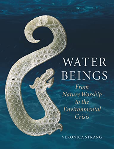 Water Beings: From Nature Worship to the Environmental Crisis von Reaktion Books