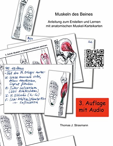 Muskeln des Beines: Anleitung zum Erstellen und Lernen mit anatomischen Muskel-Karteikarten von Books on Demand