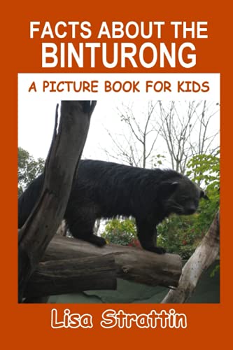 Facts About the Binturong (A Picture Book For Kids, Band 335)