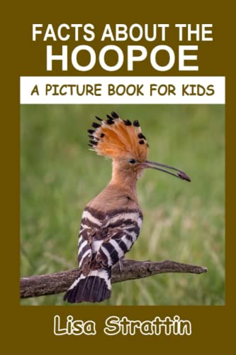 Facts About the Hoopoe (A Picture Book For Kids, Band 464) von Independently published