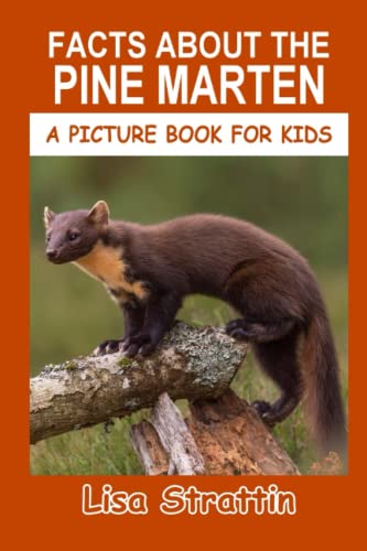 Facts About the Pine Marten (A Picture Book For Kids, Band 505)