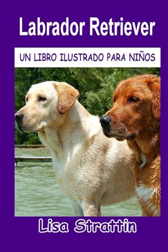 Labrador Retriever (Libros Ilustrados para Niños) von Independently published