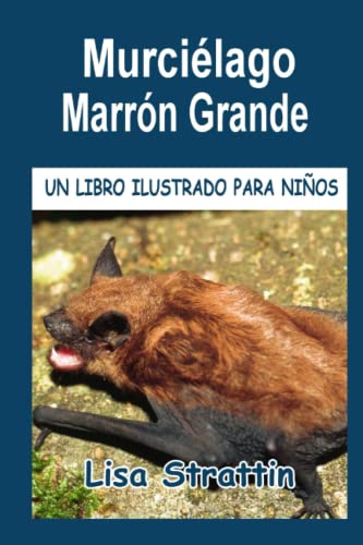 Murciélago Marrón Grande: LIBRO EN ESPAÑOL PARA NIÑOS DE 6-8 AÑOS (Libros Ilustrados para Niños) von Independently published