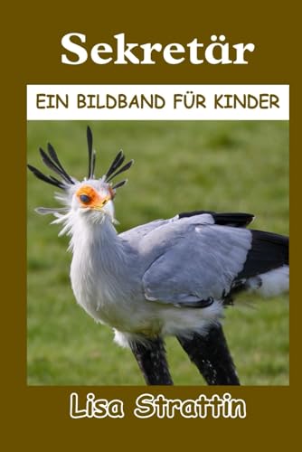Sekretär (Illustrierte Bücher für Kinder) von Independently published