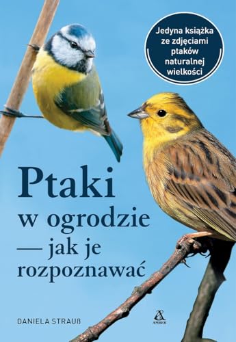 Ptaki w ogrodzie - jak je rozpoznawać von Amber