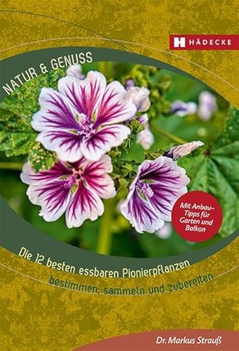 Die 12 besten essbaren Pionierpflanzen: bestimmen, sammeln und zubereiten (Natur & Genuss) von HÄDECKE