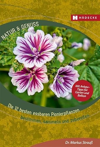 Die 12 besten essbaren Pionierpflanzen: bestimmen, sammeln und zubereiten (Natur & Genuss) von Hädecke Verlag