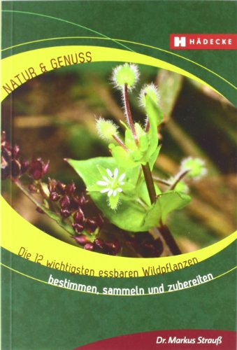 Die 12 wichtigsten essbaren Wildpflanzen: Bestimmen, sammeln und zubereiten