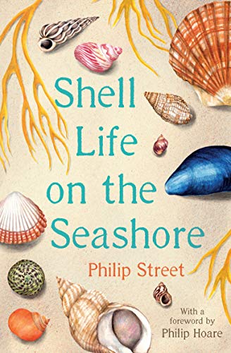 Shell Life on the Seashore Shell Life on the Seashore