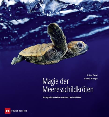 Magie der Meeresschildkröten: Fotografische Reise zwischen Land und Meer