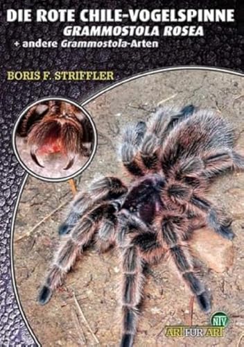 Die Rote Chile-Vogelspinne + andere Grammostola-Arten: Grammostola rosea von NTV Natur und Tier-Verlag