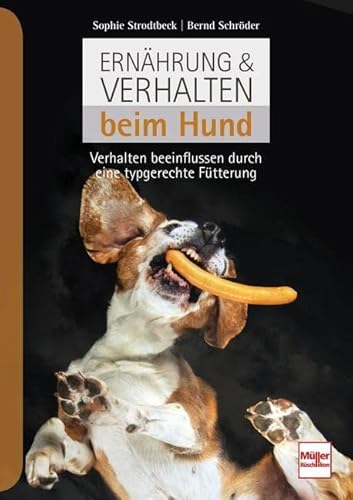 Ernährung & Verhalten beim Hund: Verhalten beeinflussen durch eine typgerechte Fütterung von Mller Rschlikon