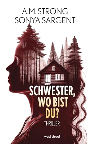 Schwester, wo bist du? (Die Patterson-Blake-Thrillers, Band 1)