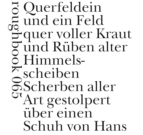 Gegengewichtshebewerk (roughbooks) von Engeler Urs Editor
