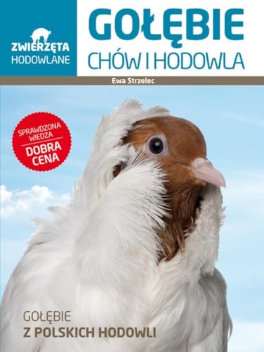 Golebie Chow i hodowla