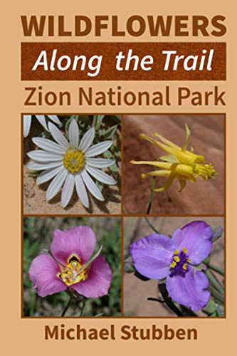 Wildflowers Along the Trail: Zion National Park