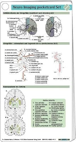 Neuro Imaging pocketcard Set von Boerm Bruckmeier