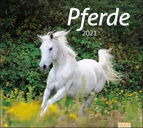times&more Pferde Bildkalender Kalender 2021 von Heye