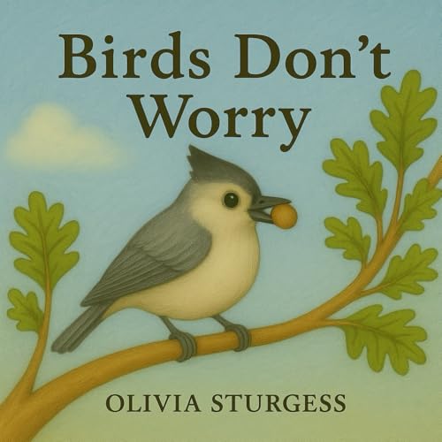 Birds Don't Worry Birds Don't Worry von Rose of Sharon Publishing