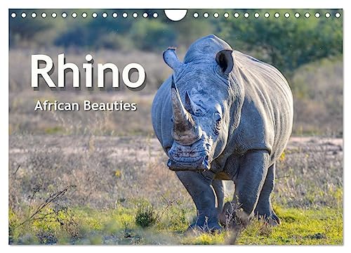 Rhinos, african beauties (Wall Calendar 2025 DIN A4 landscape), CALVENDO 12 Month Wall Calendar: Wonderful animals, threatened with extinction von Calvendo