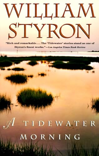 A Tidewater Morning: Three Tales from Youth (Vintage International) von Vintage