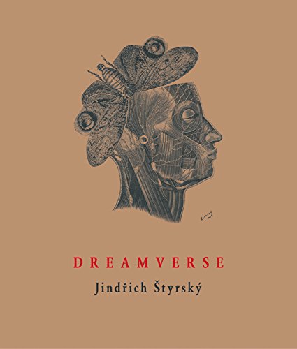 Dreamverse (Image to Word, 3, Band 3)