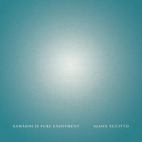 Samādhi is Pure Enjoyment von Independently published