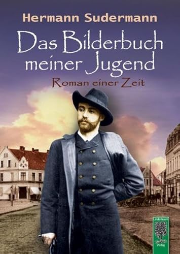 Das Bilderbuch meiner Jugend: Roman einer Zeit